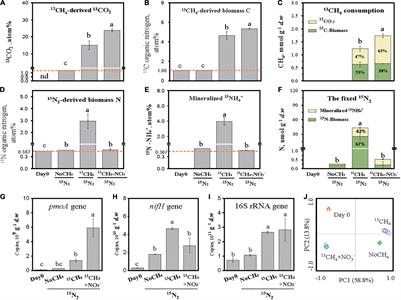 Methanotrophy Alleviates Nitrogen Constraint of Carbon Turnover by Rice Root-Associated Microbiomes